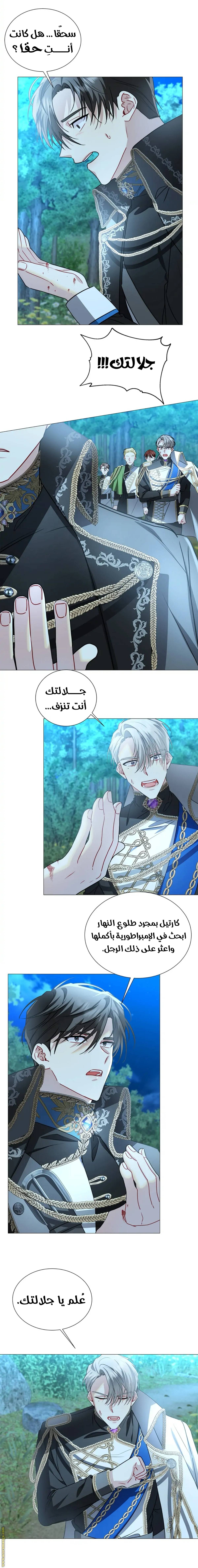 الصفحة 3