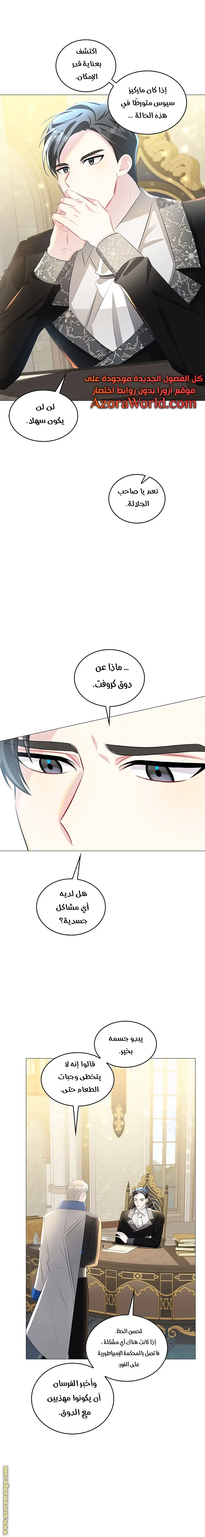 الصفحة 17