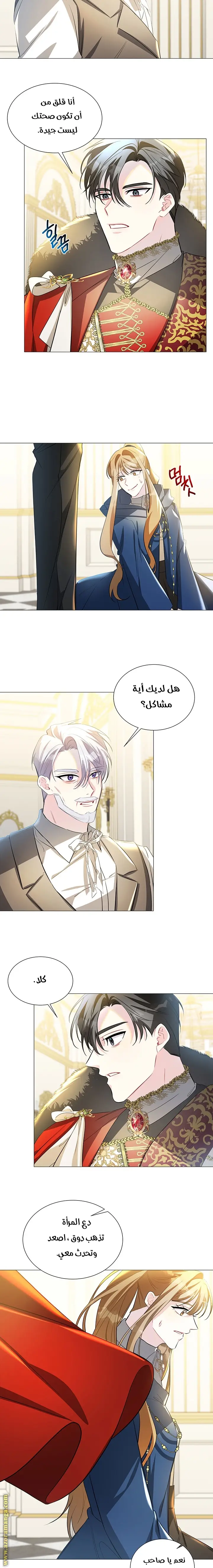 الصفحة 11