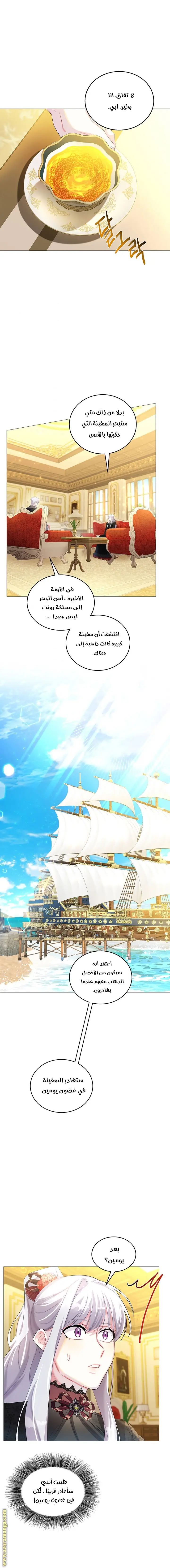 الصفحة 15