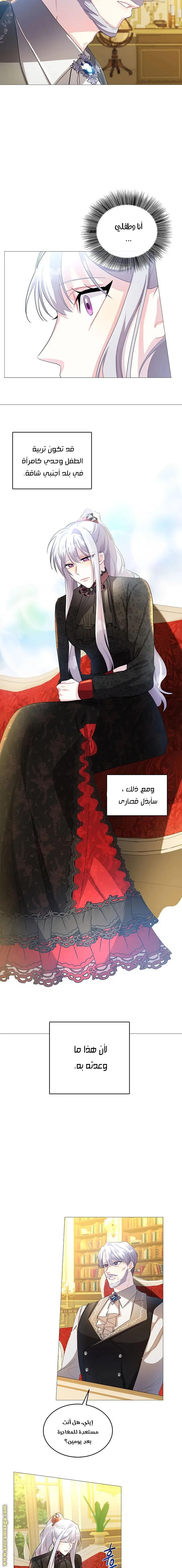 الصفحة 17