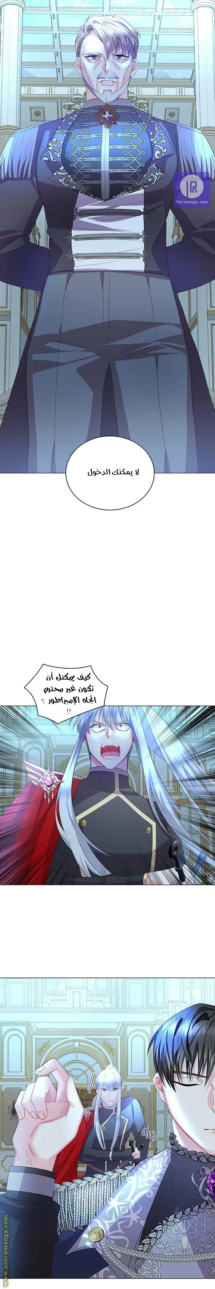 الصفحة 13