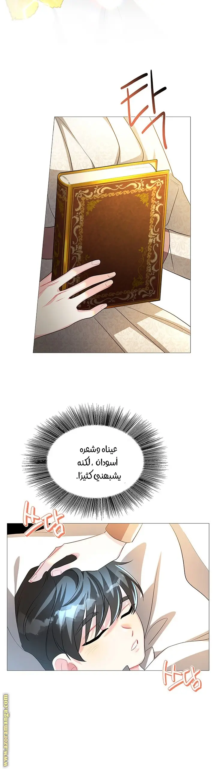 الصفحة 23