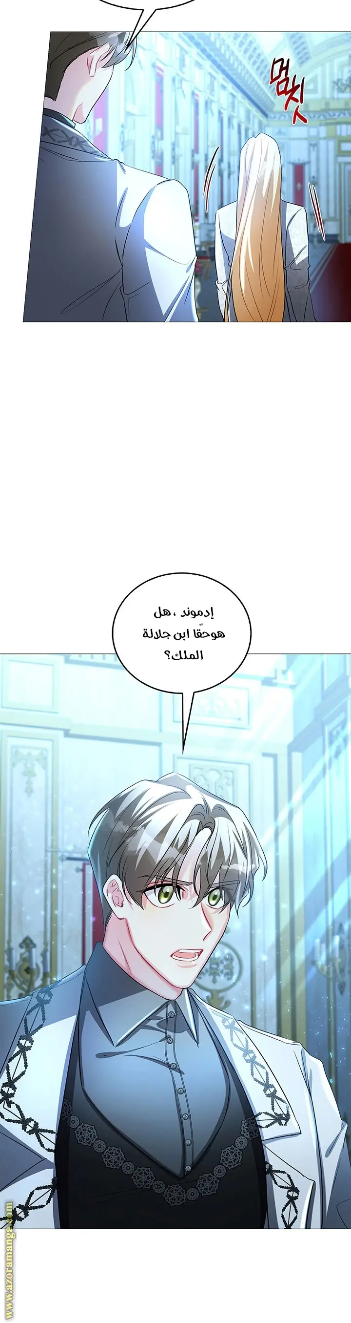 الصفحة 31