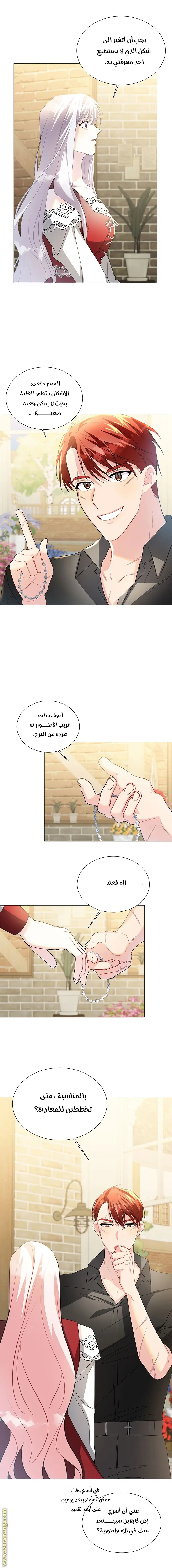 الصفحة 5