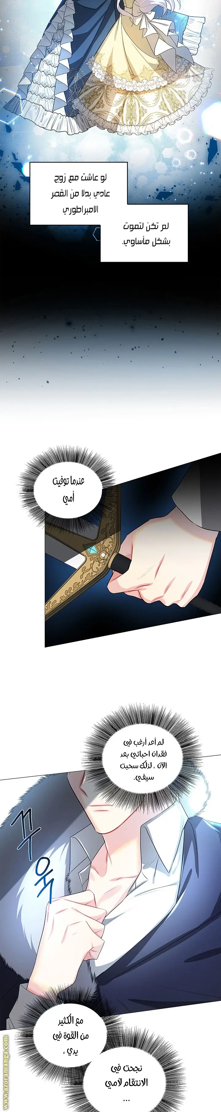 الصفحة 3