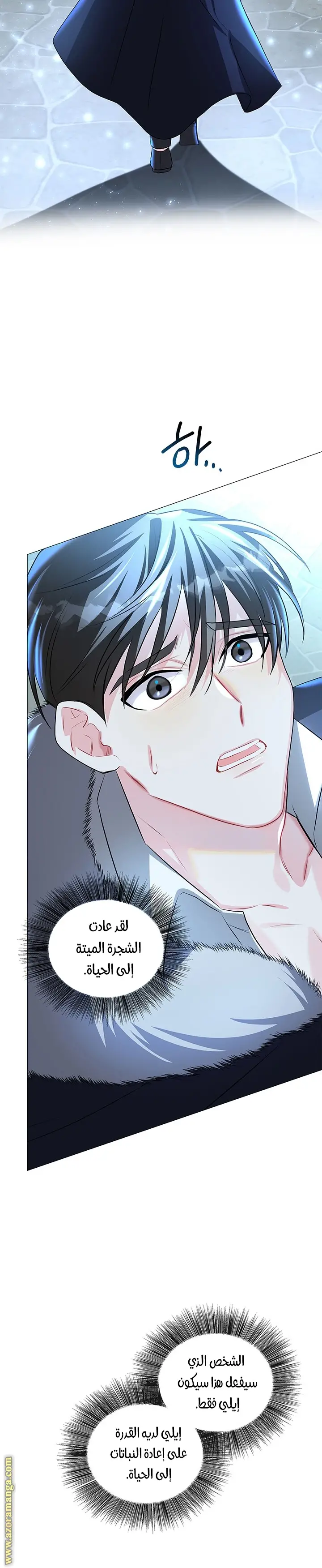 الصفحة 14
