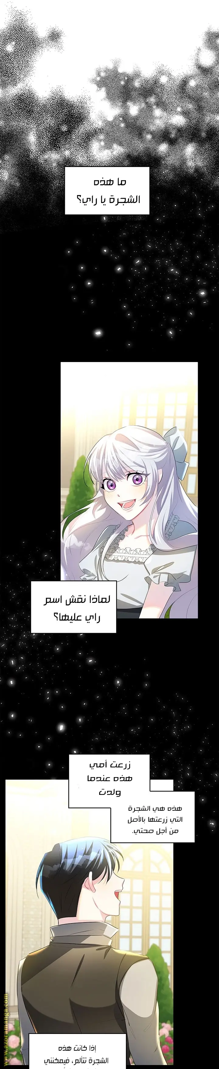 الصفحة 15