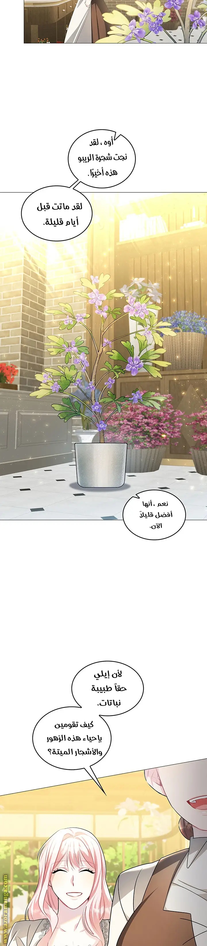 الصفحة 7