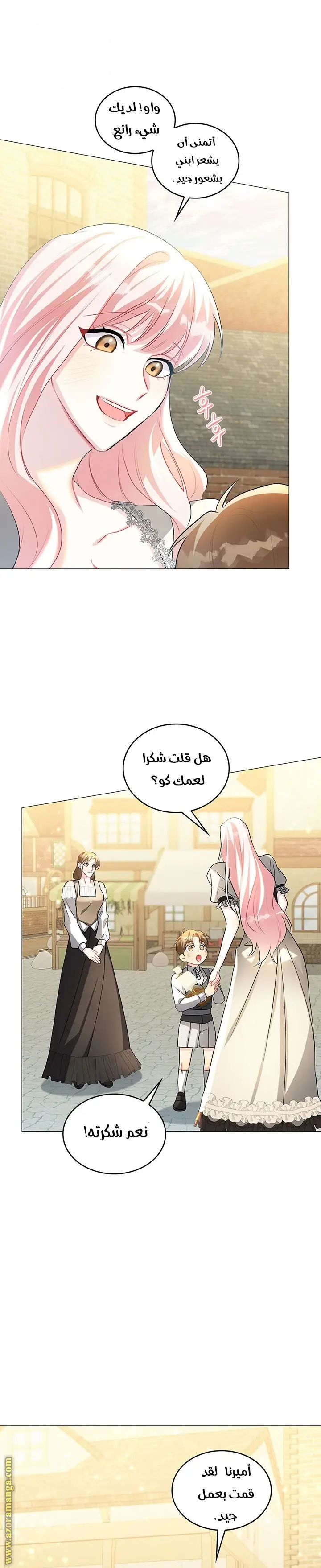 الصفحة 17