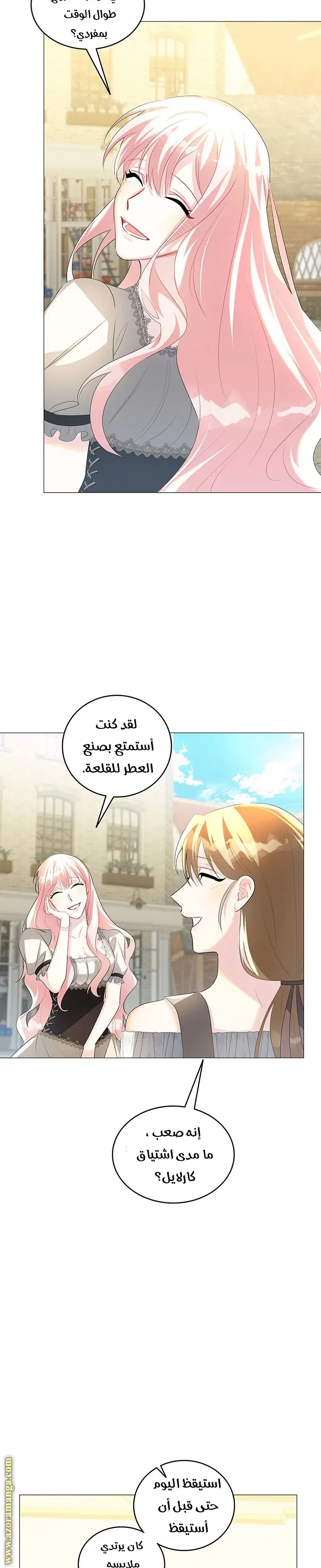 الصفحة 21