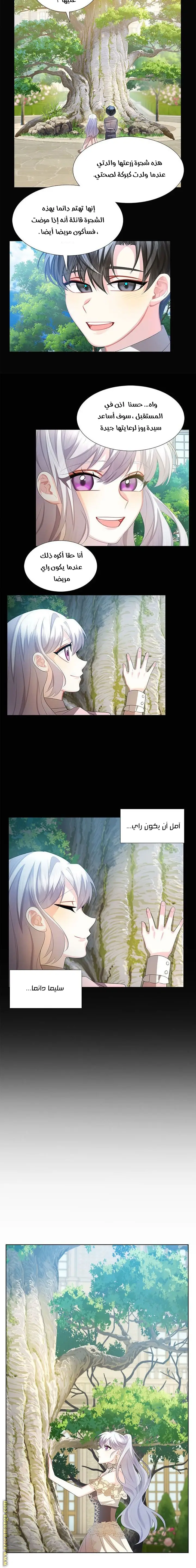 الصفحة 8