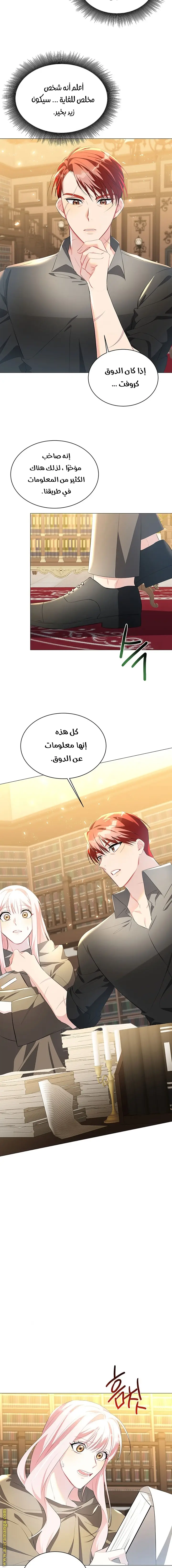 الصفحة 11