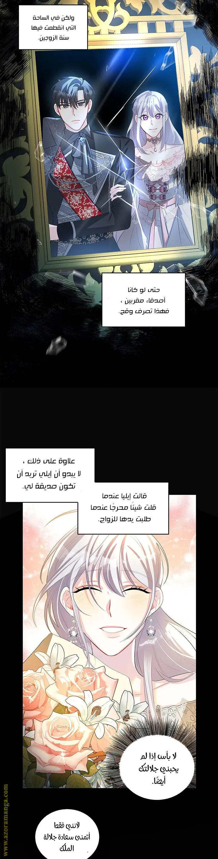 الصفحة 29