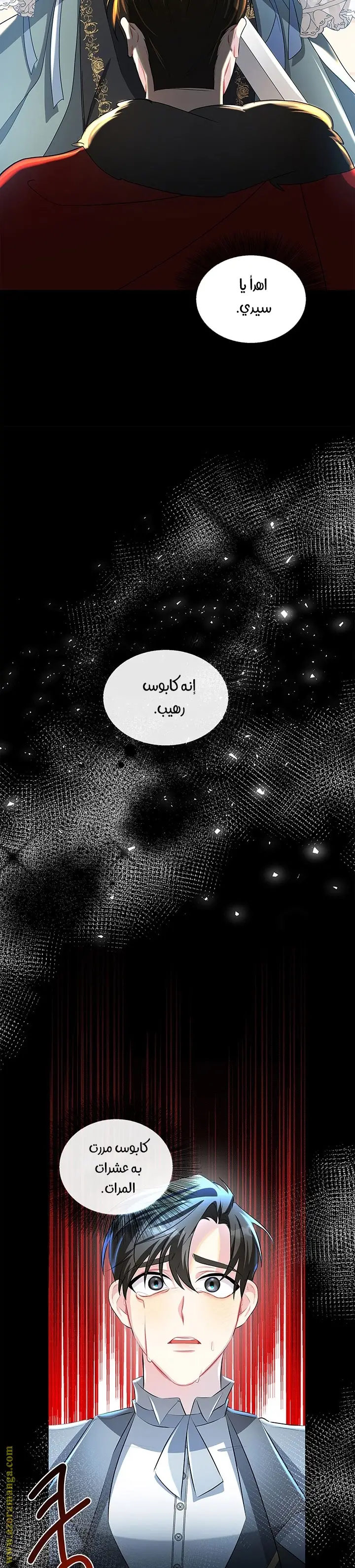 الصفحة 26