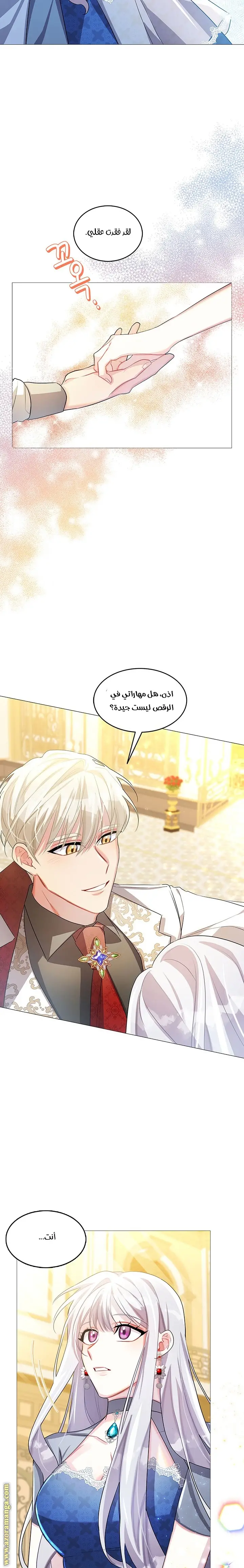 الصفحة 17