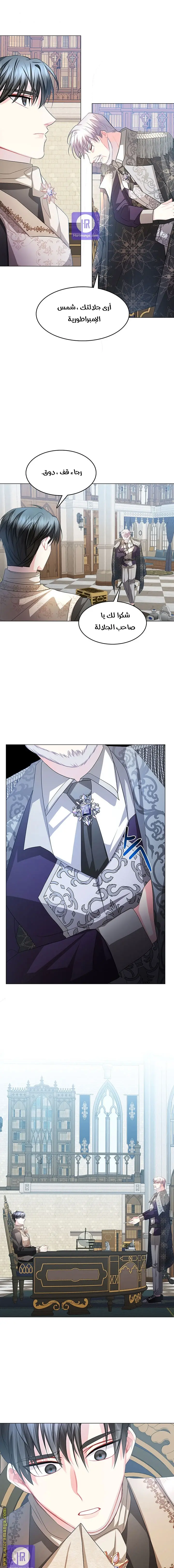الصفحة 13
