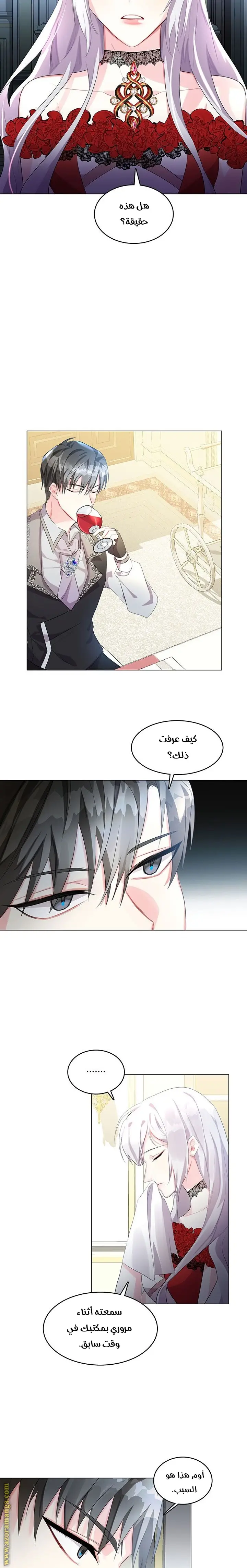 الصفحة 17