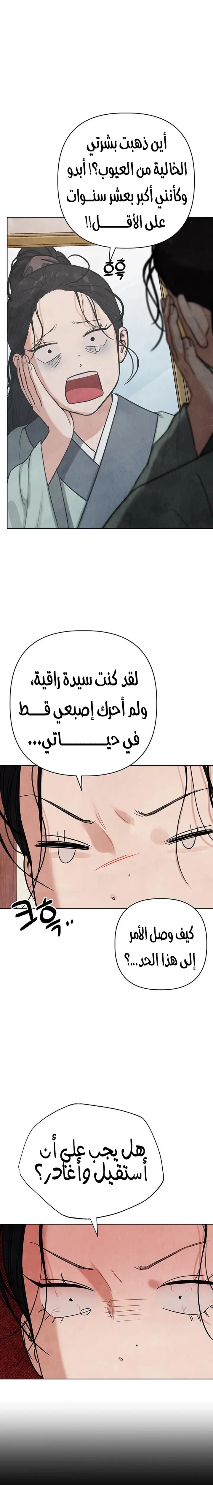 الصفحة 24