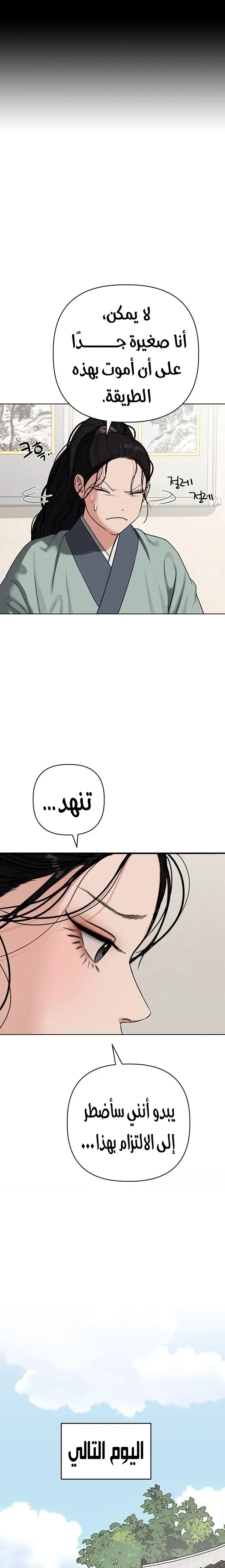 الصفحة 26