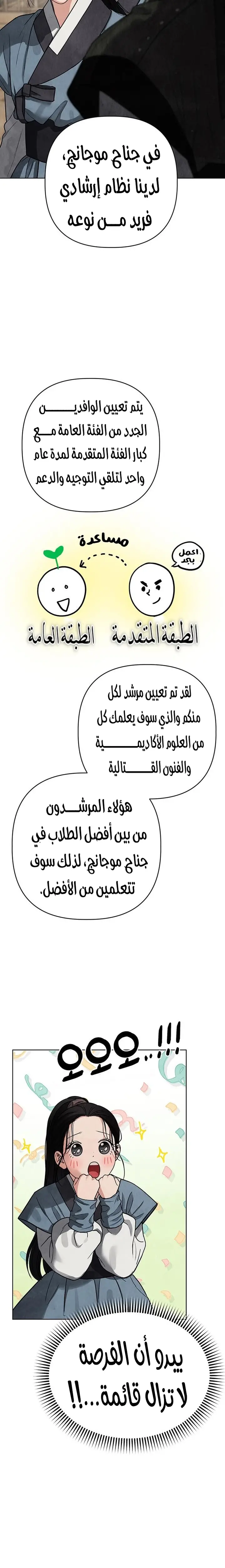 الصفحة 29