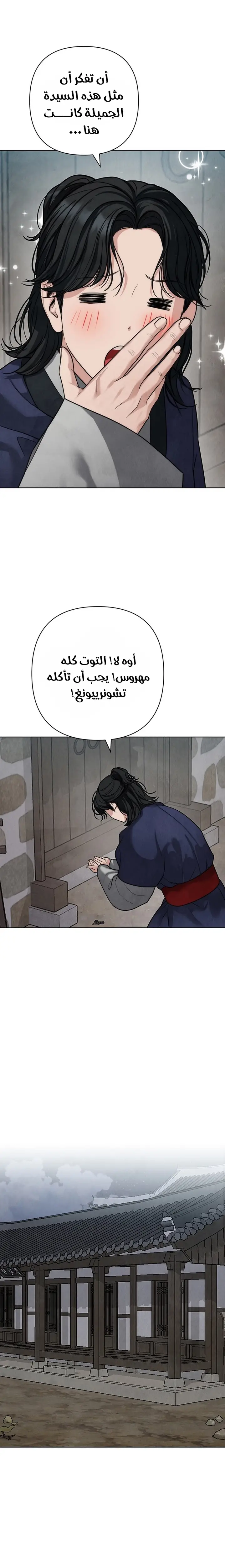 الصفحة 20