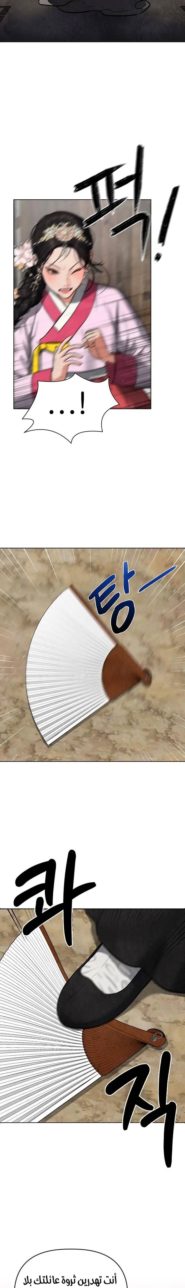 الصفحة 17