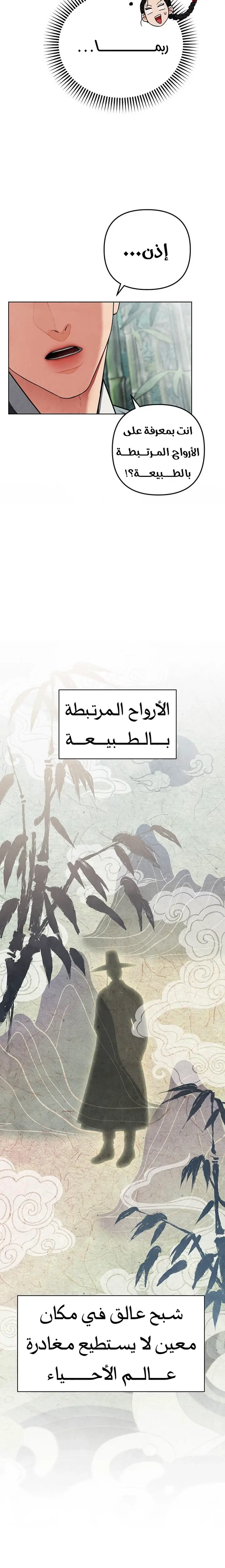 الصفحة 26