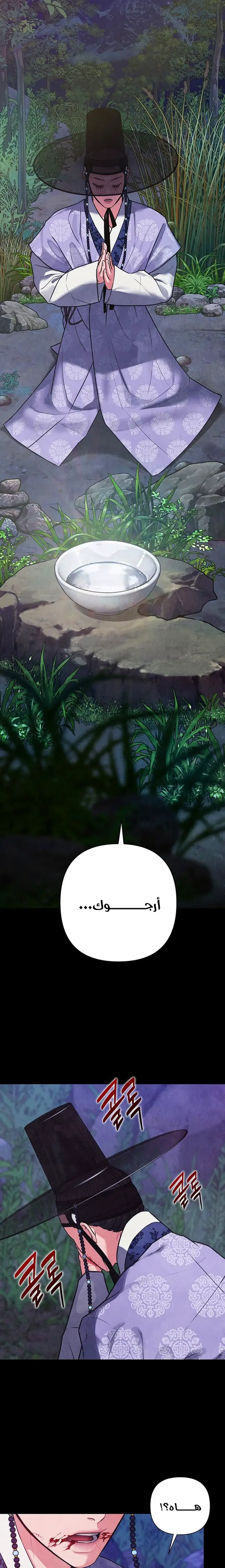 الصفحة 29