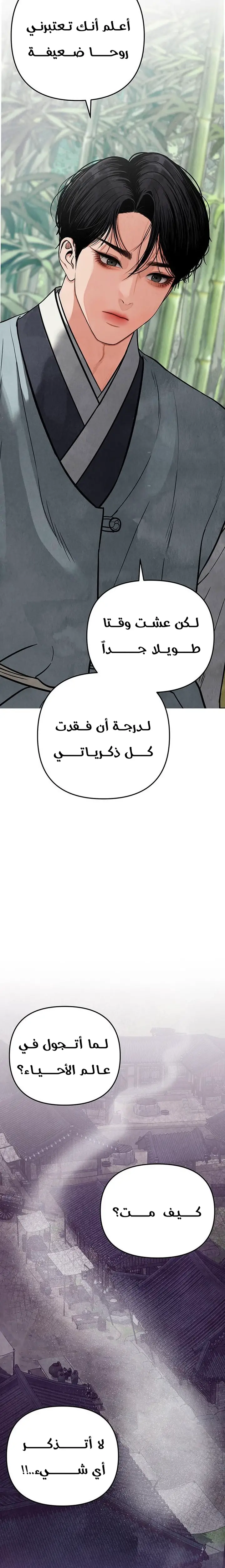 الصفحة 41