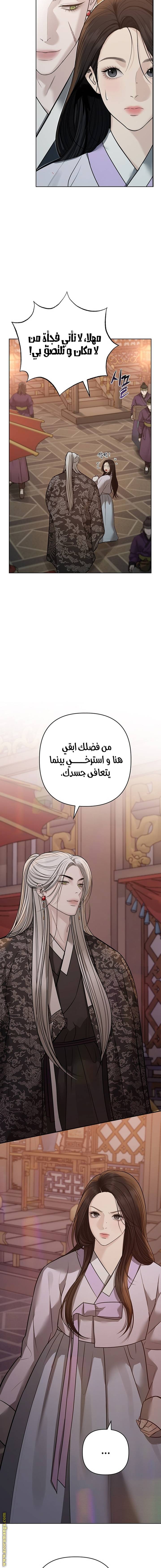 الصفحة 17