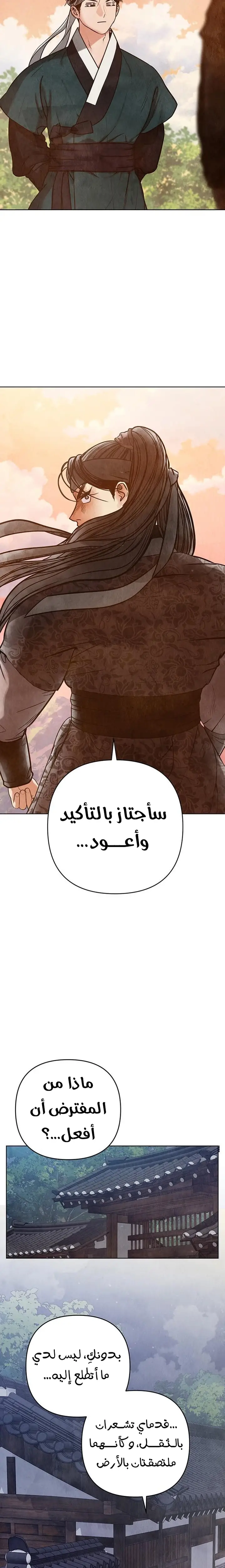الصفحة 26
