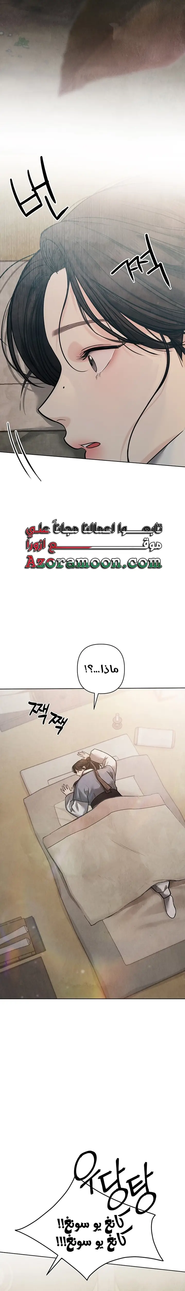 الصفحة 13