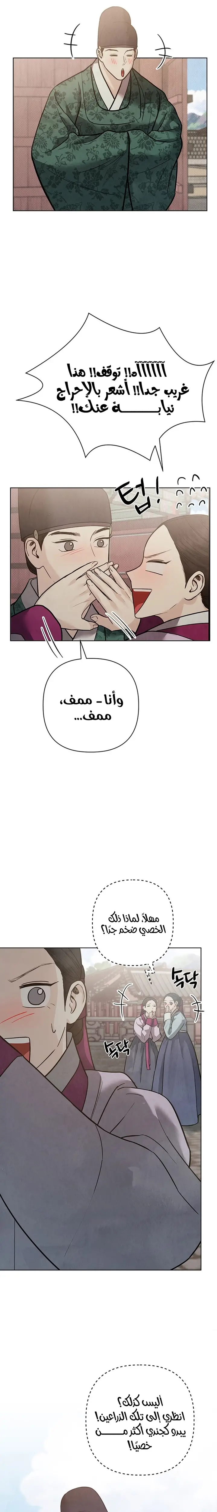 الصفحة 19