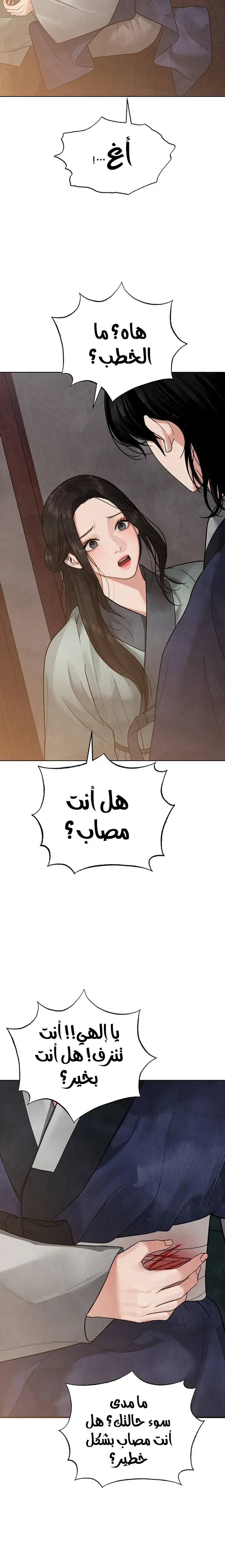 الصفحة 29