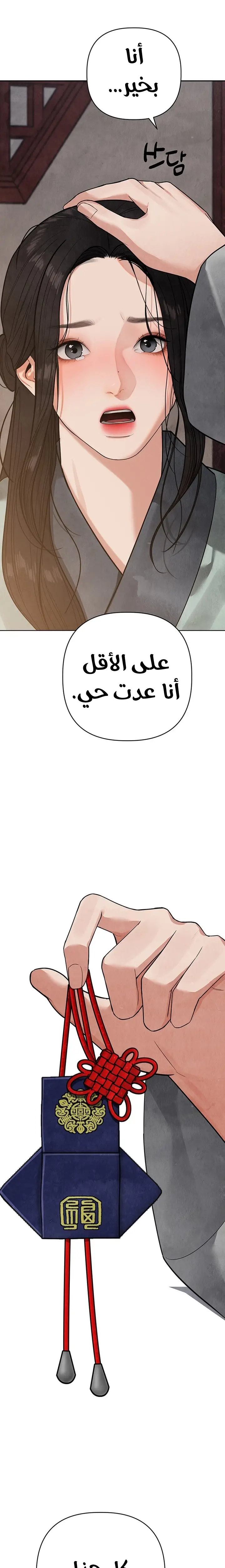 الصفحة 30