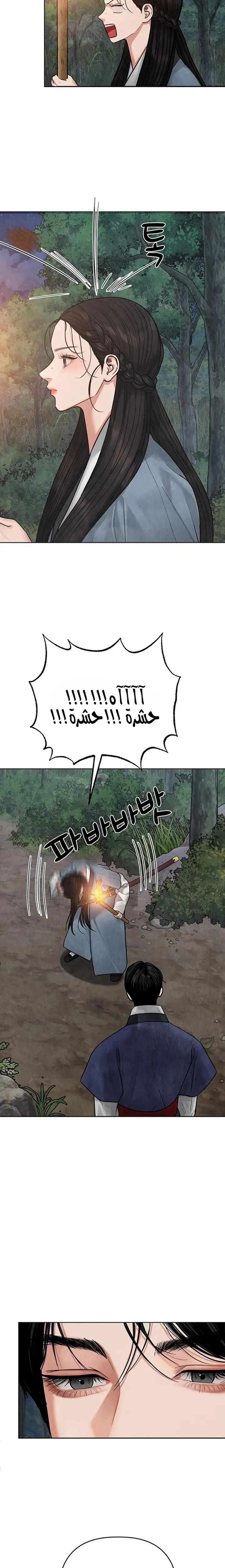 الصفحة 17