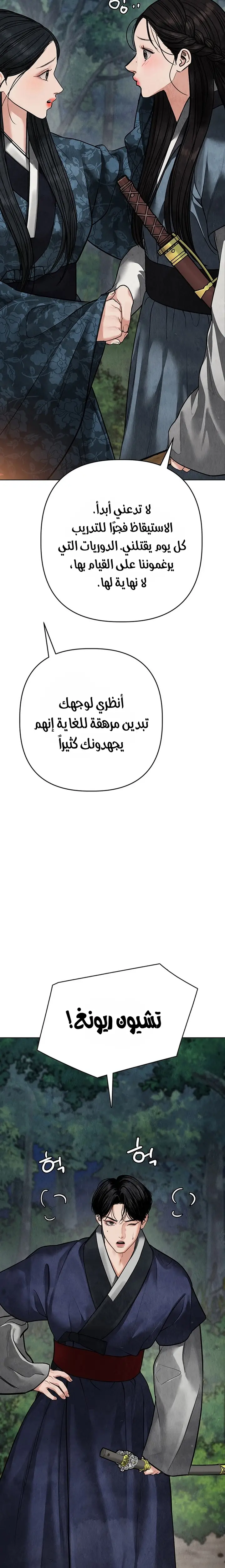 الصفحة 29