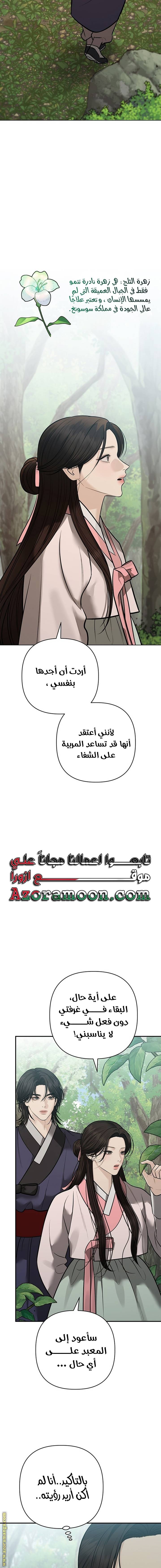 الصفحة 17