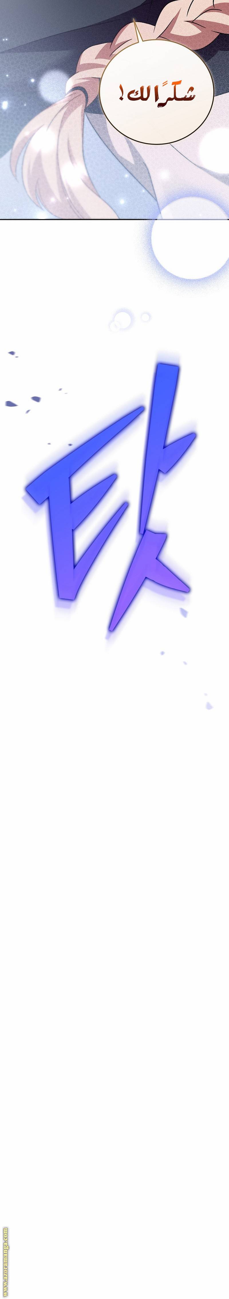 الصفحة 43