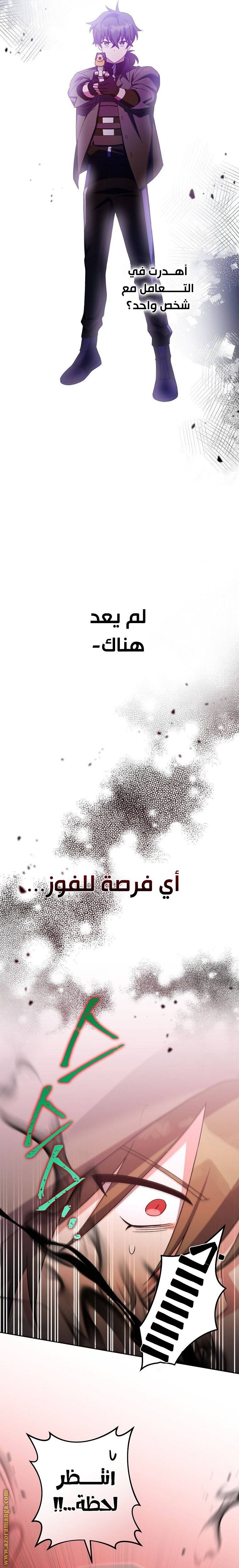 الصفحة 17