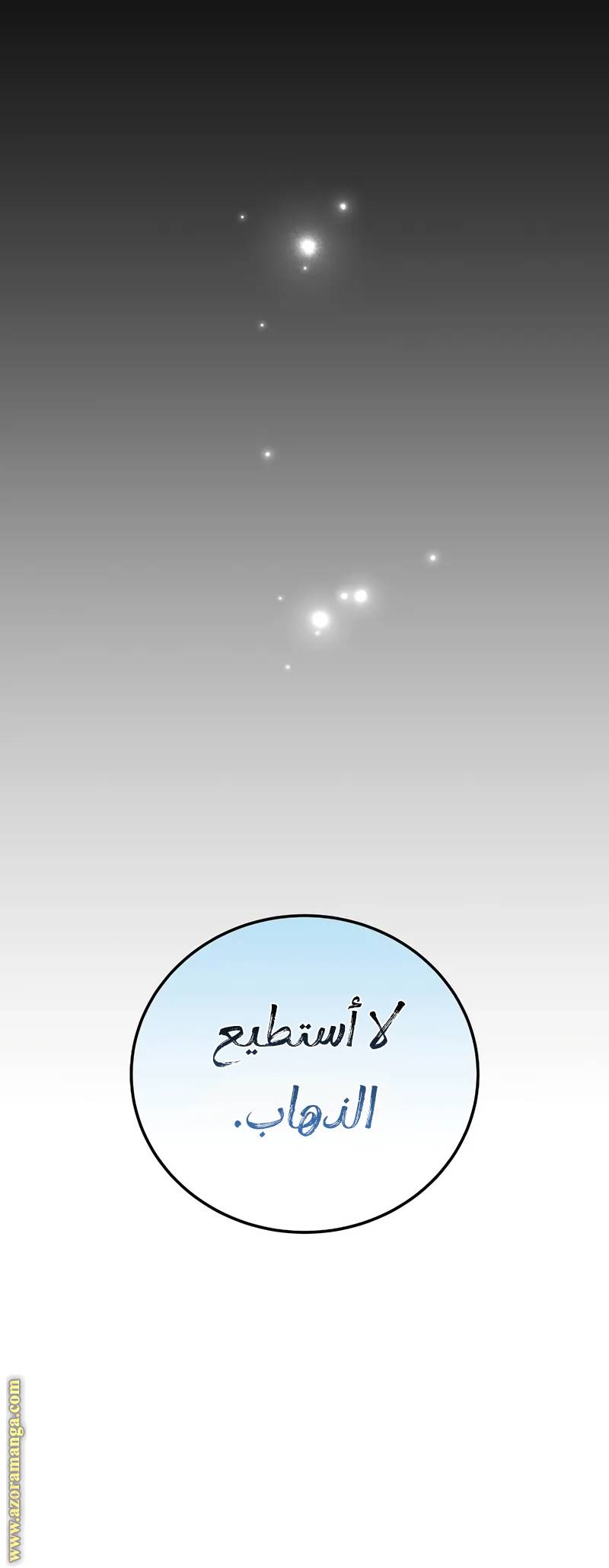 الصفحة 21