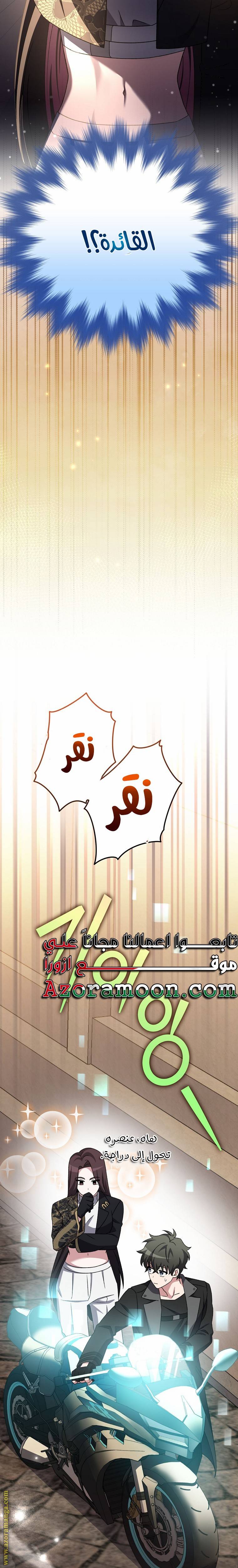 الصفحة 17