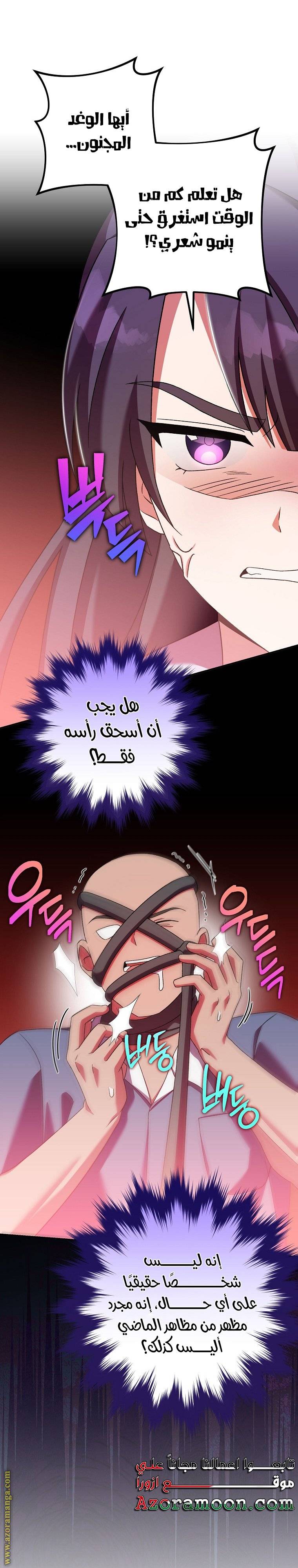 الصفحة 17