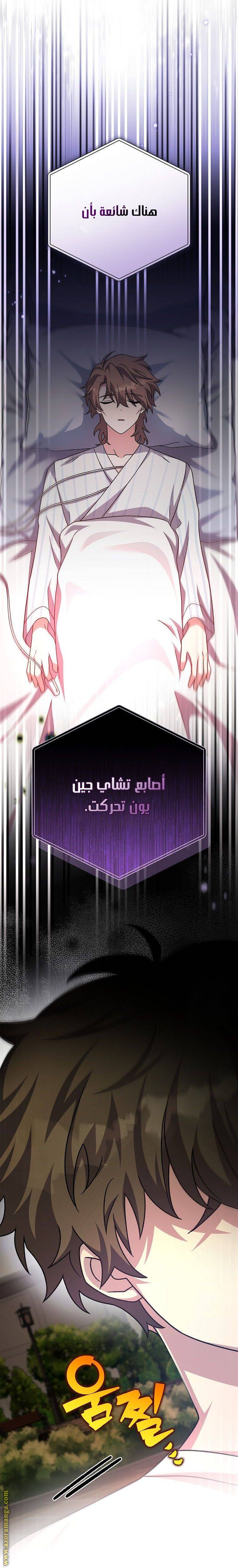 الصفحة 27