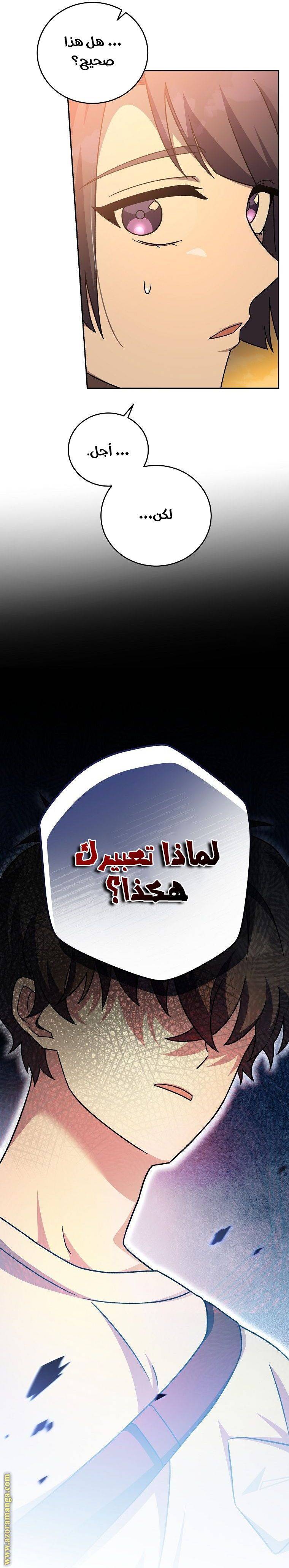الصفحة 29