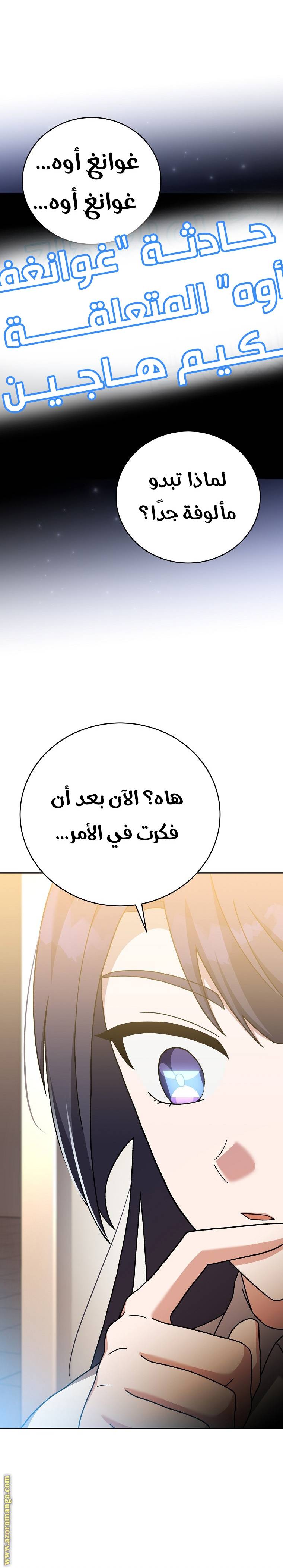 الصفحة 27