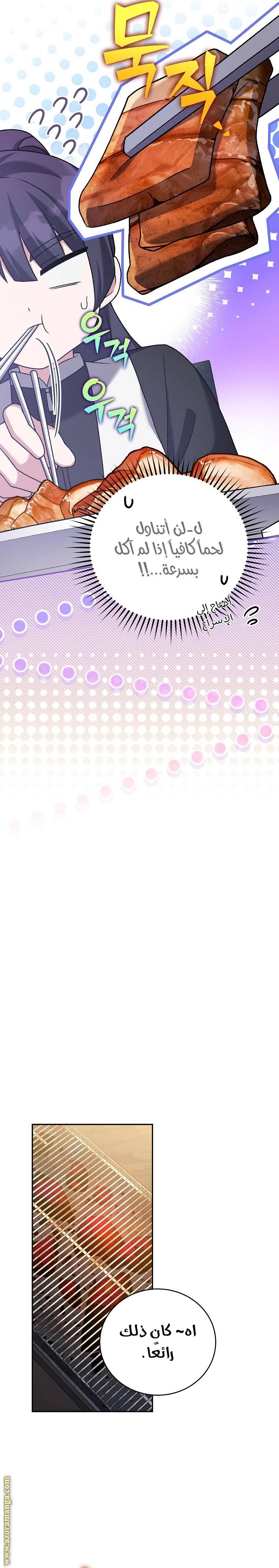 الصفحة 29