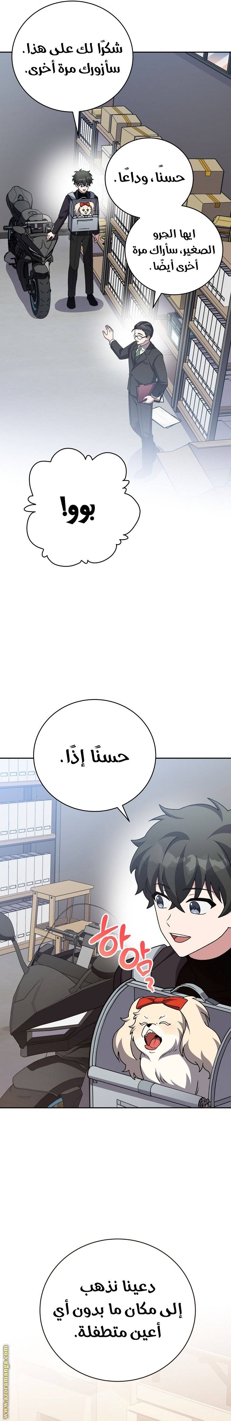 الصفحة 26