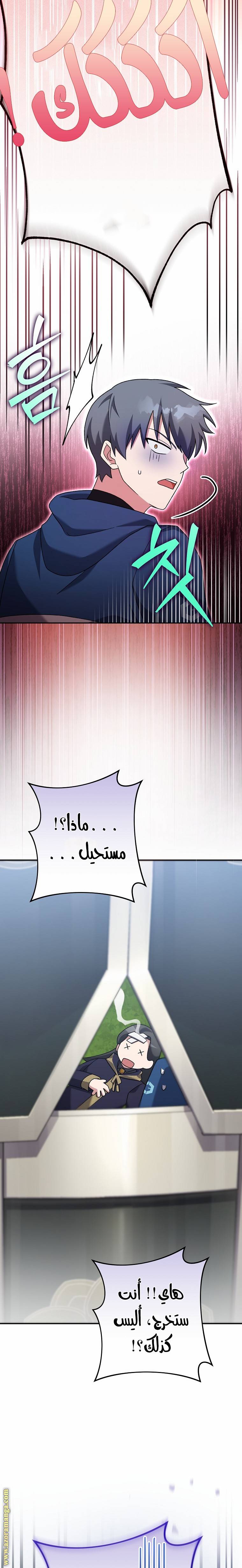 الصفحة 19